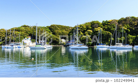 神奈川県三浦市の小網代湾（春）の写真素材 [102249941] - PIXTA