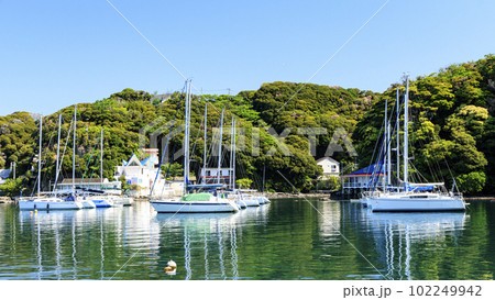 神奈川県三浦市の小網代湾（春） 102249942