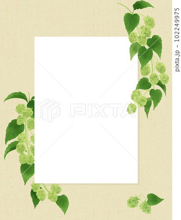 ホップの実と枝の水彩イラスト・ボード風 ホップの実と枝の水彩イラスト・ボード風 102249975