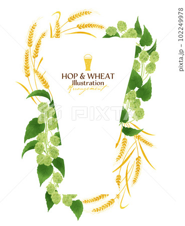 ホップと麦の水彩イラスト・フレーム 102249978