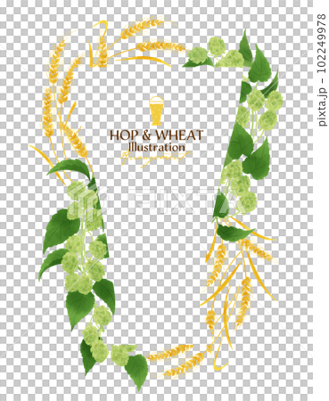 ホップと麦の水彩イラスト・フレーム 102249978