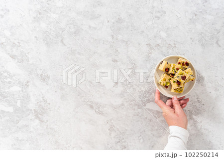 Flat lay. Homemade cranberry pistachio fudge square pieces on a white plate. Flat lay. Homemade cranberry pistachio fudge square pieces on a white plate. 102250214