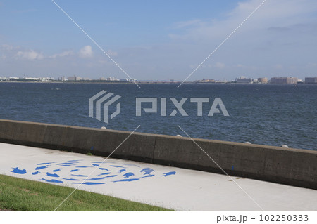東京都江東区若洲海浜公園の海獣の道の風景 東京都江東区若洲海浜公園の海獣の道の風景 102250333
