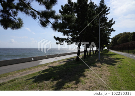 東京都江東区若洲海浜公園の海獣の道の風景 東京都江東区若洲海浜公園の海獣の道の風景 102250335