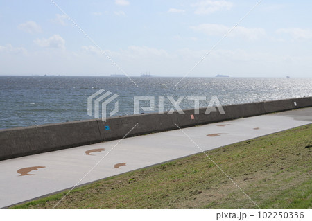 東京都江東区若洲海浜公園の海獣の道の風景 東京都江東区若洲海浜公園の海獣の道の風景 102250336