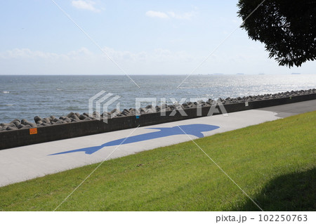 東京都江東区若洲海浜公園の海獣の道の風景 東京都江東区若洲海浜公園の海獣の道の風景 102250763