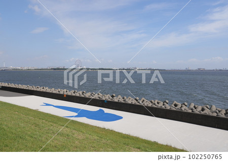 東京都江東区若洲海浜公園の海獣の道の風景 東京都江東区若洲海浜公園の海獣の道の風景 102250765