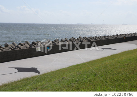 東京都江東区若洲海浜公園の海獣の道の風景 東京都江東区若洲海浜公園の海獣の道の風景 102250766