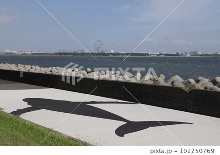 東京都江東区若洲海浜公園の海獣の道の風景 102250769