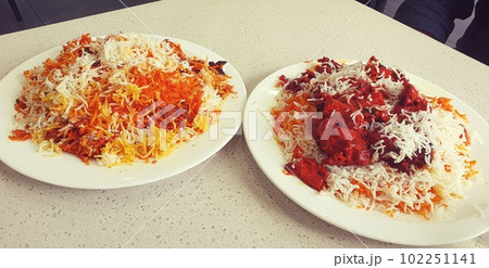 インド料理 102251141