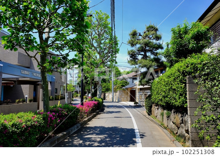 東京都板橋区常盤台2丁目の家並み 東京都板橋区常盤台2丁目の家並み 102251308