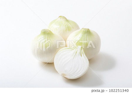 新たまねぎ　穫れたての玉葱　新タマネギ　新玉ねぎ　イメージ素材 102251340