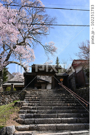 高遠城址進徳館 高遠城址進徳館 102251783