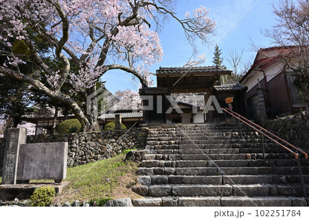 高遠城址進徳館 高遠城址進徳館 102251784