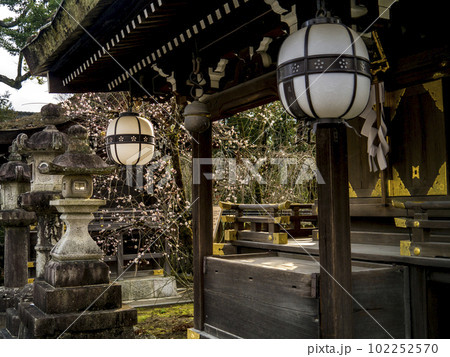 京都洛中：北野天満宮 102252570