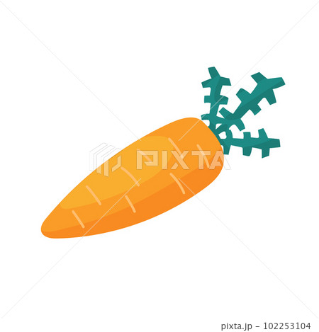 Carrot. Vector cartoon illustration. Isolated on white. 102253104
