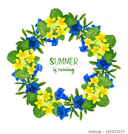 Wild flowers wreath with gentian and caltha, hand drawn watercolor 102253225