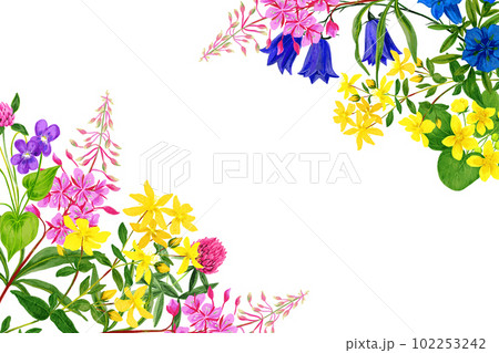 Watercolor field flowers, bright colors, corner frame 102253242