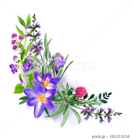Wild field purple flowers bouquet, hand drawn vector Wild field purple flowers bouquet, hand drawn vector 102253256