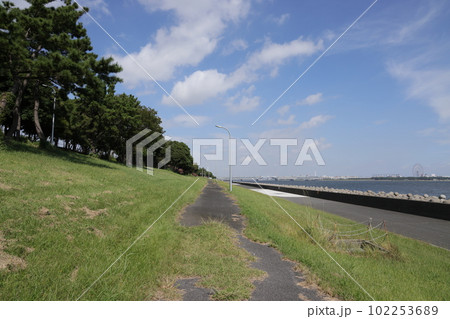 東京都江東区若洲海浜公園の海獣の道の風景 東京都江東区若洲海浜公園の海獣の道の風景 102253689