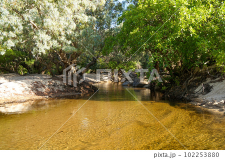 オーストラリアの琥珀色をした穏やかな川の風景 102253880