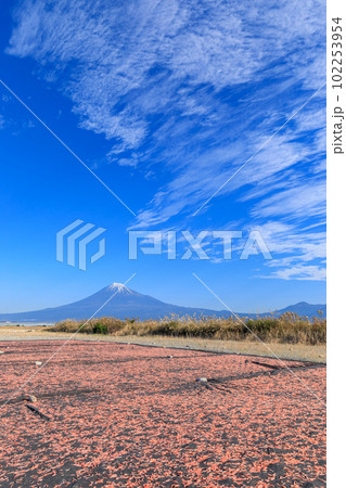 静岡_桜えびと富士山の絶景（富士川緑地公園） 102253954