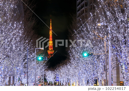 東京_東京タワーと冬のけやき坂ライトアップの絶景風景 東京_東京タワーと冬のけやき坂ライトアップの絶景風景 102254017