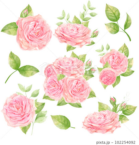 Beatuful watercolor roses bouquets. Wedding clipart. Floral set 102254092
