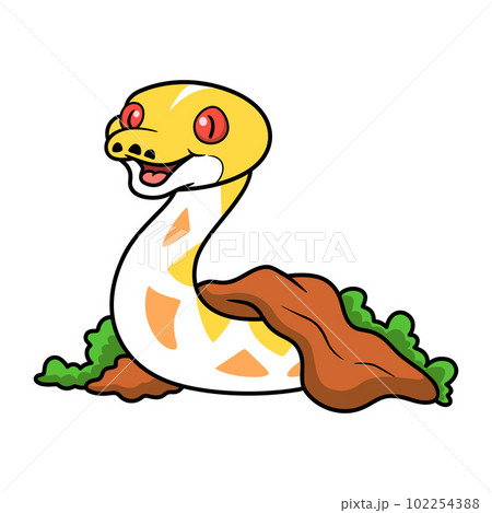 Cute amelanistic reticulated python cartoon out from hole Cute amelanistic reticulated python cartoon out from hole 102254388