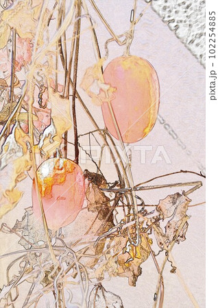 樹木にツルを巻き付け秋に真っ赤に色付く玉梓カラスウリiCG画像イラスト3 102254885