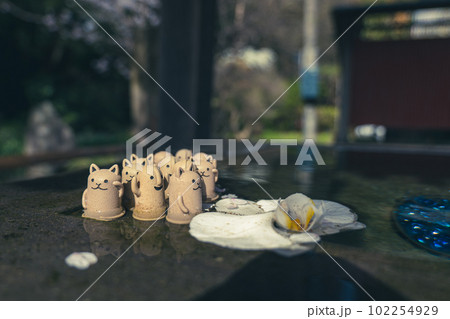 小さな埴輪のフィギュアと水面の花びら 102254929