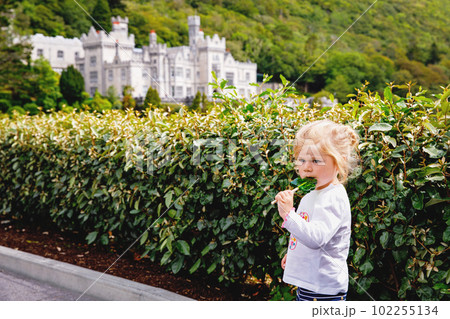 Cute toddler girl with Irish cloverleaf lollipop with Kylemore Abbey on background. Happy healthy child on flower meadow eating unhealthy sweets. Family and small children vacations in Ireland 102255134