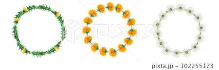 Watercolor set of wreaths with fluffy and yellow dandelion flowers. Hand painting clipart botanical meadow illustration on a white isolated background. For designers, decoration, postcards, wrapping Watercolor set of wreaths with fluffy and yellow dandelion flowers. Hand painting clipart botanical meadow illustration on a white isolated background. For designers, decoration, postcards, wrapping 102255173