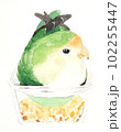 餌箱に入ったコザクラインコ 102255447