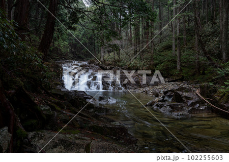 森の中の滝　田立の滝 102255603