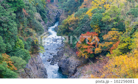 秋の紅葉に映える高千穂峡周辺の山並み景色と五ヶ瀬川渓谷　宮崎県高千穂町 102256081