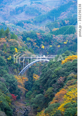 秋の紅葉に映える高千穂峡周辺の山並み景色と橋を渡る観光バス　宮崎県高千穂町 102256138