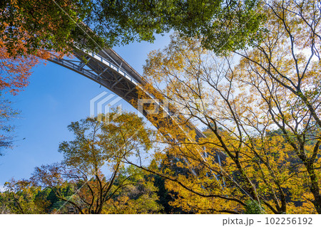 秋の紅葉に映える高千穂峡遊歩道から観える風景　宮崎県高千穂町 102256192