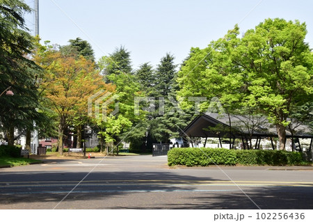 駒沢オリンピック公園の緑地散策路と新緑と野球場入口と休憩舎 駒沢オリンピック公園の緑地散策路と新緑と野球場入口と休憩舎 102256436