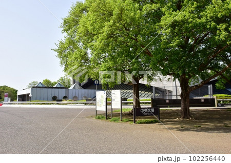 駒沢オリンピック公園の中央広場と新緑と散策路と公園案内板 駒沢オリンピック公園の中央広場と新緑と散策路と公園案内板 102256440