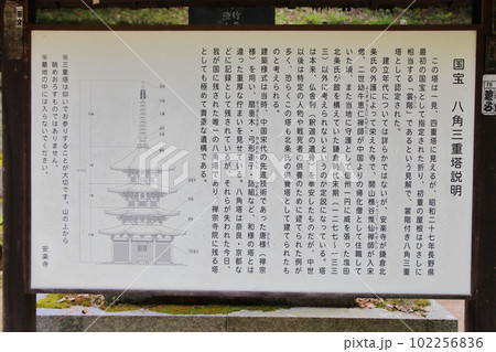 国宝 安楽寺八角三重塔　 102256836