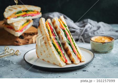 Two homemade sandwiches with sausage, cheese and arugula on a light concrete background 102257099
