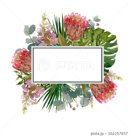 絵画 額縁付 プロテア protea Protea Flowers 
