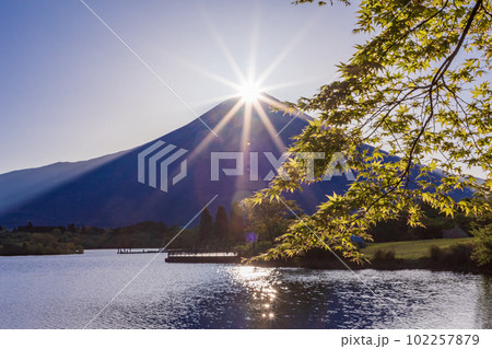 （静岡県）田貫湖　新緑の枝越しのダイヤモンド富士 102257879