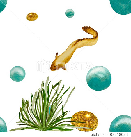 Seaweed eel bubbles shell a watercolor sketch  102258033