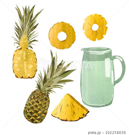 Pineapple fruit lemonade decanter set a watercolor 102258038