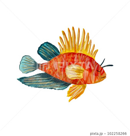 Fish colorful ocean sea a watercolor illustration Fish colorful ocean sea a watercolor illustration 102258266