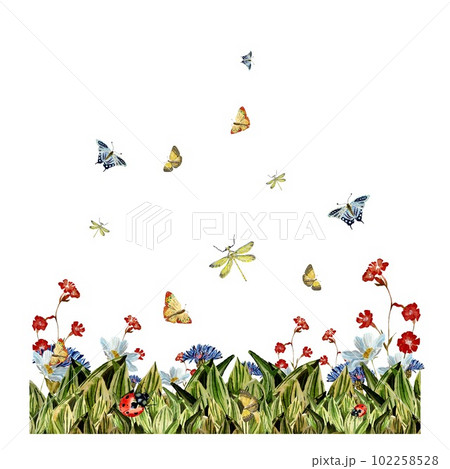 Grass dragonfly flower red butterfly a watercolor Grass dragonfly flower red butterfly a watercolor 102258528
