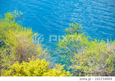 奥四万湖の水没林 奥四万湖の水没林 102258669