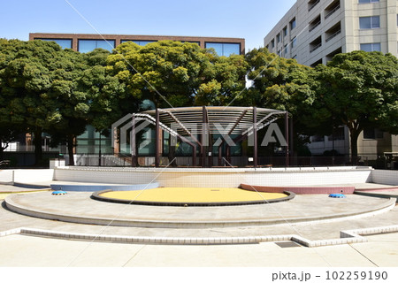 駒沢オリンピック公園緑地の新緑とジャブジャブ池と駒沢大学 102259190